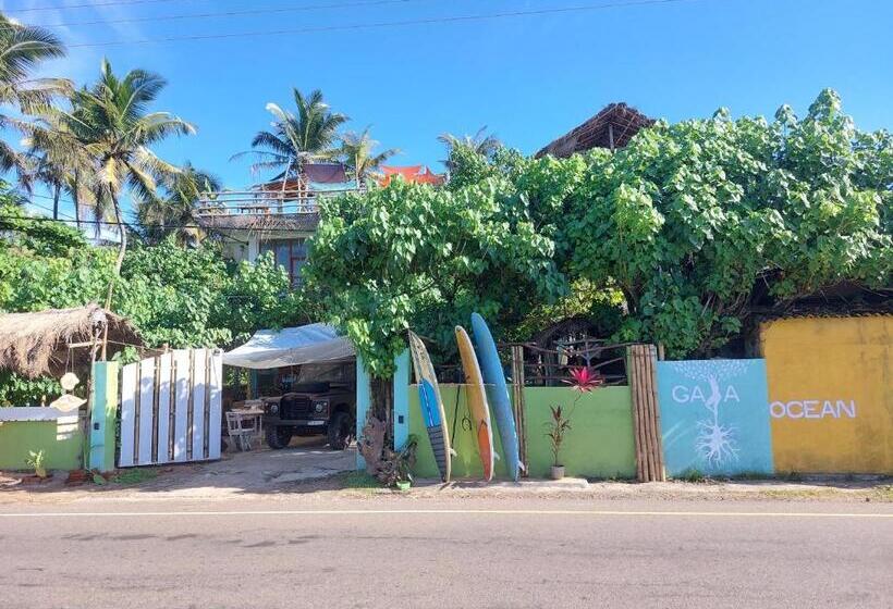 הוסטל Gaia Ocean Surf Yoga