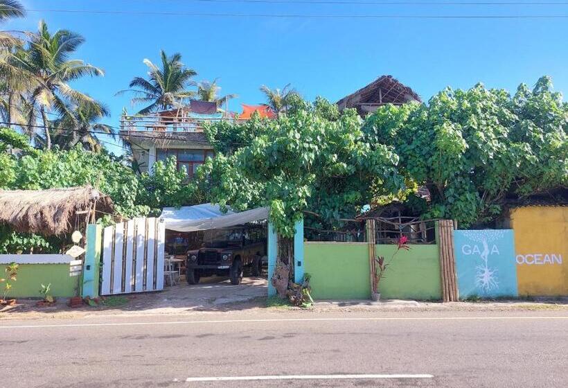 הוסטל Gaia Ocean Surf Yoga