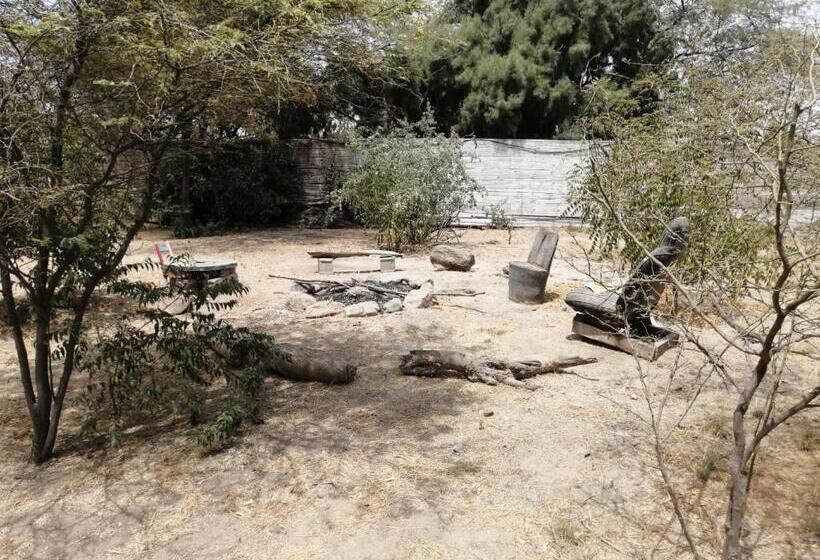 فندق صغير Maison Nim