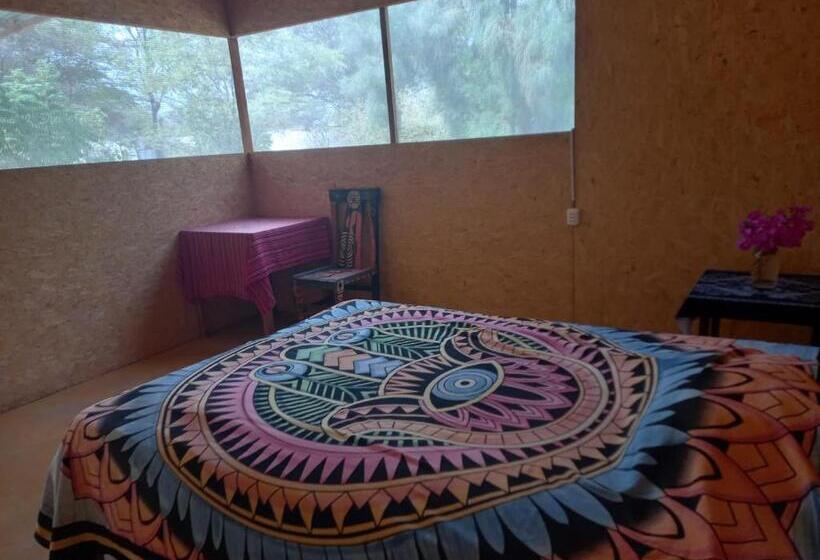 فندق صغير Maison Nim