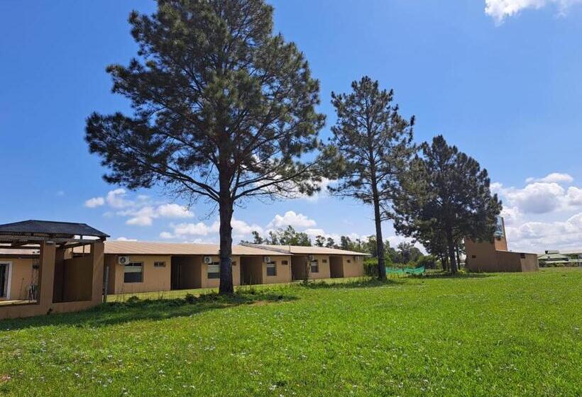 فندق صغير Noah Housing