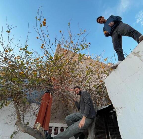 旅馆 Wostel Djerba