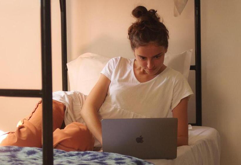 旅馆 Wostel Djerba