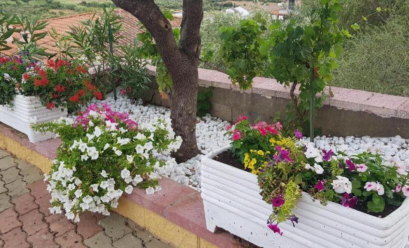 B&b Villa Delle Rose