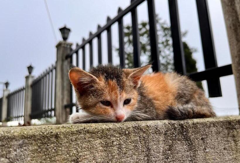 ベッドアンドブレックファースト Ej’s Frontyard  The Home Cafe & Stay