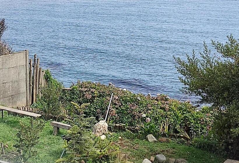 Bed and Breakfast Buenavida Hostel, Habitación Amplia Con Baño En Suite Y Vista Al Mar