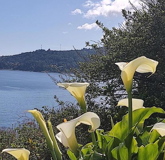 Bed and Breakfast Buenavida Hostel, Habitación Amplia Con Baño En Suite Y Vista Al Mar