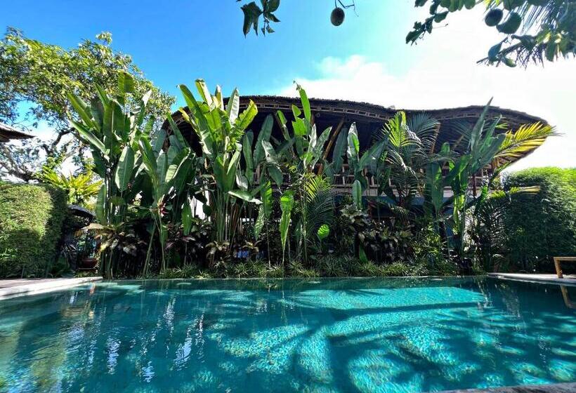 צימר Joyously Raw Villas