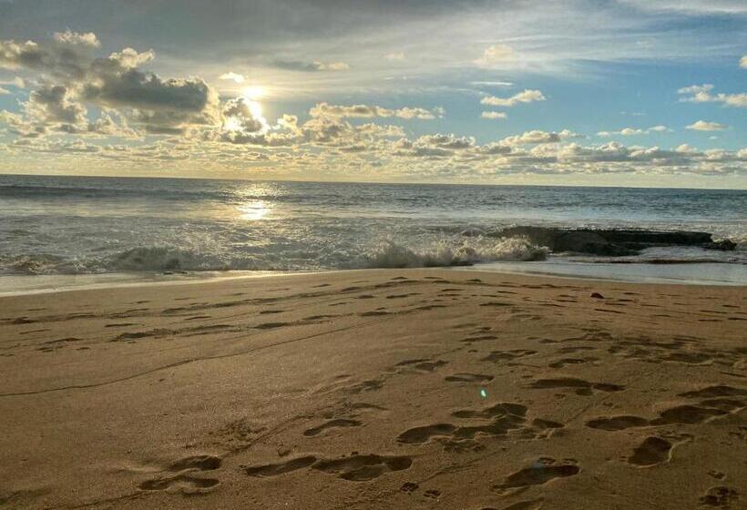 住宿加早餐  Sri Palms