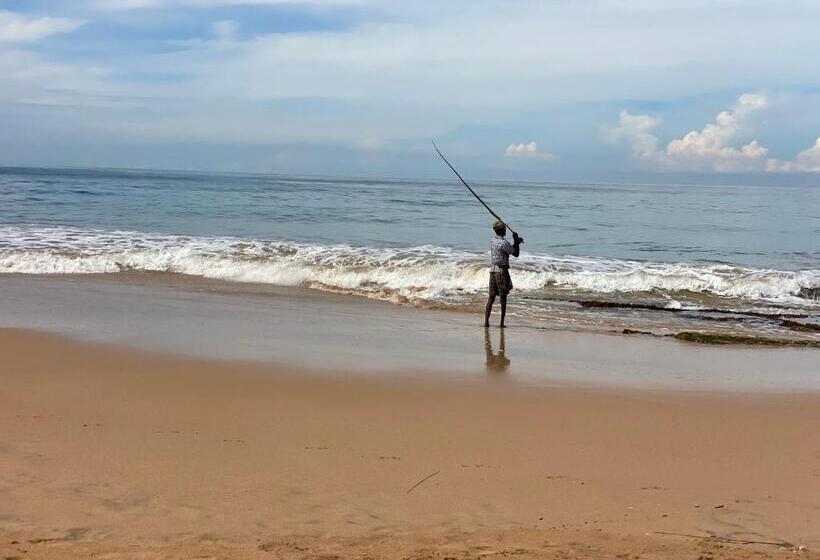 住宿加早餐  Sri Palms