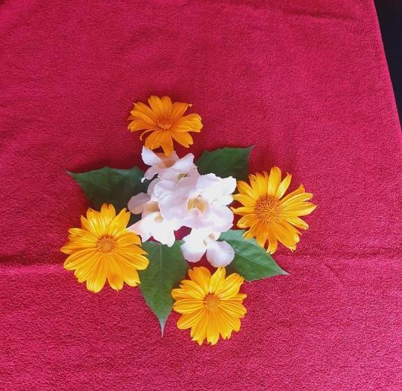 住宿加早餐  Sri Palms