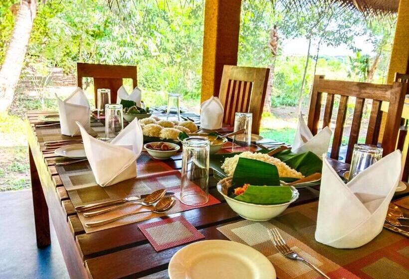 Ceylon Amigos Eco Resort