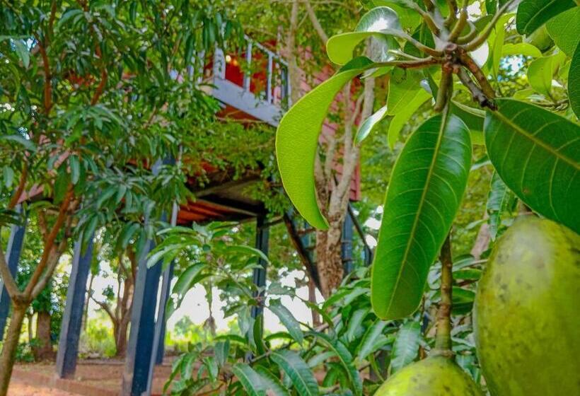 Ceylon Amigos Eco Resort