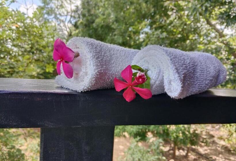 Ceylon Amigos Eco Resort