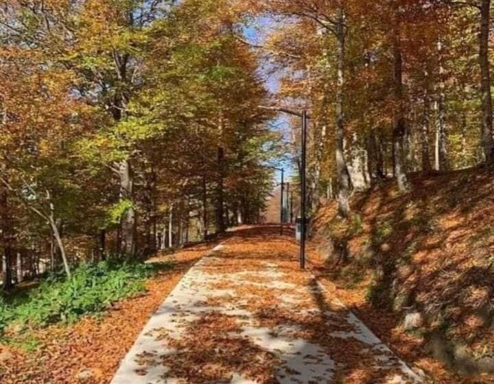 Crystal Residence Apartment 224