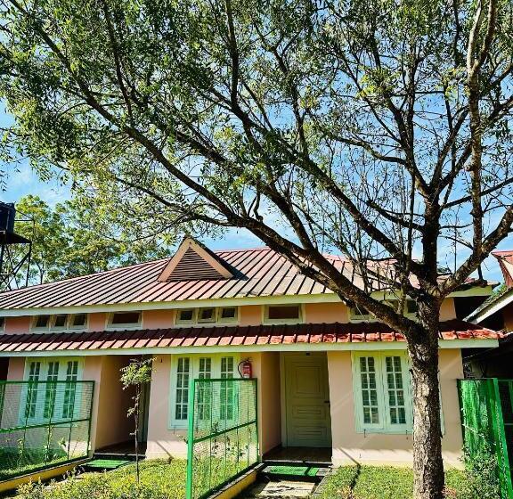 Green Paradise Hotel And Resort