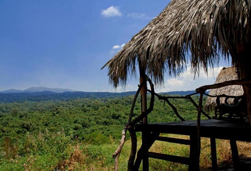 هتل Crater Forest Tented Lodge