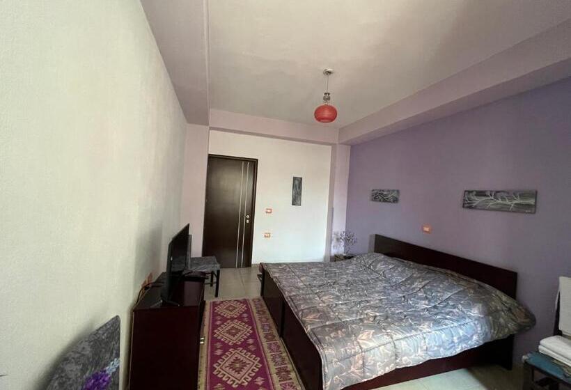 בית מלון כפרי Densit