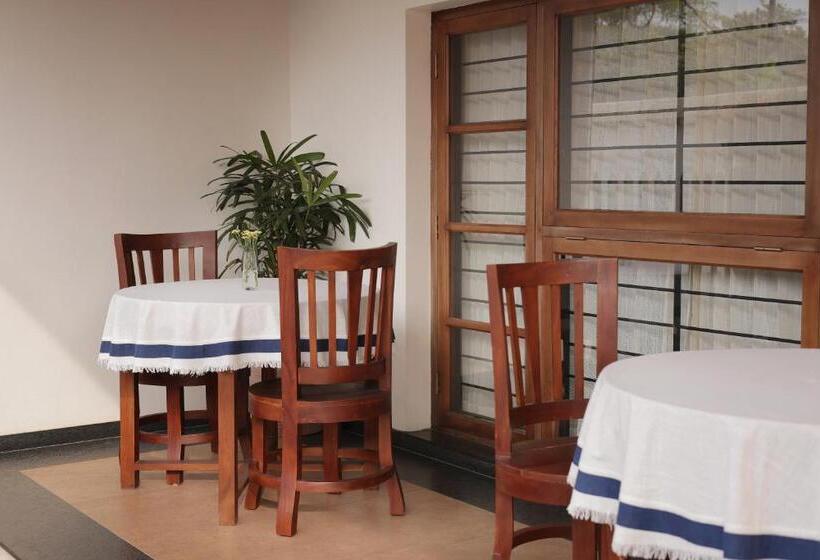 Отель Dutch Manor Boutique