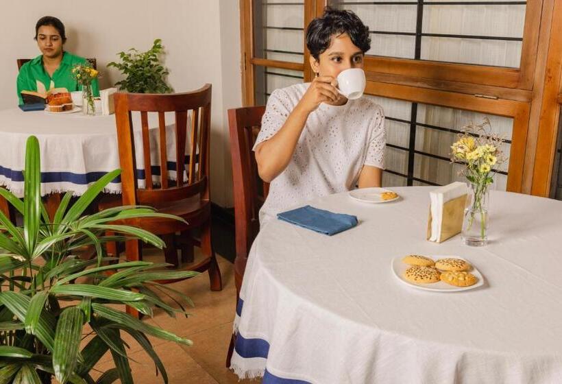 Отель Dutch Manor Boutique