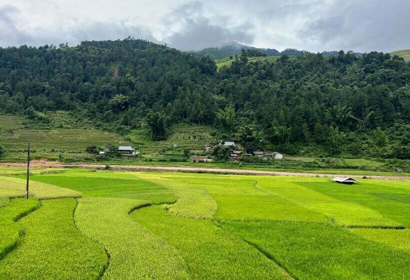 Отель Homestay Hoà Thảo