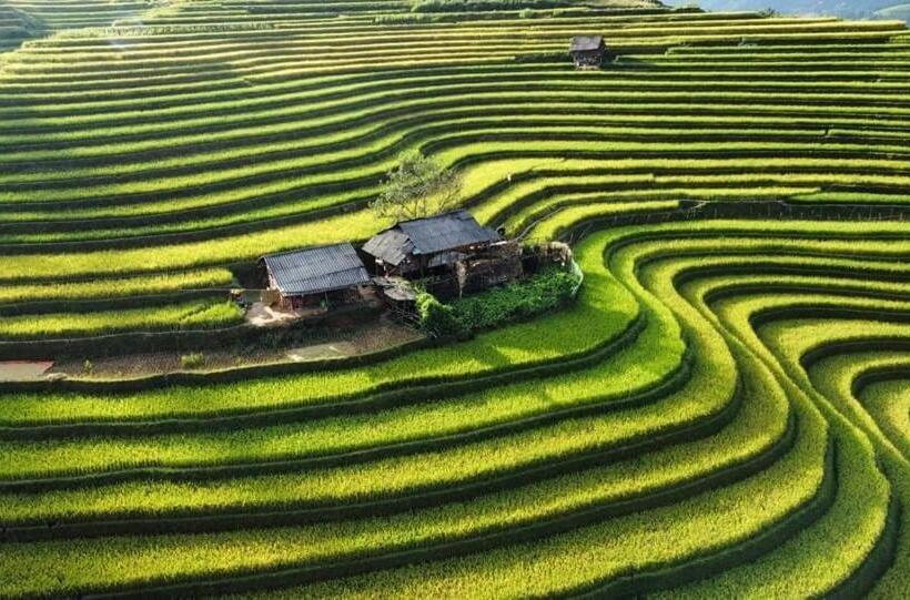 Отель Homestay Hoà Thảo