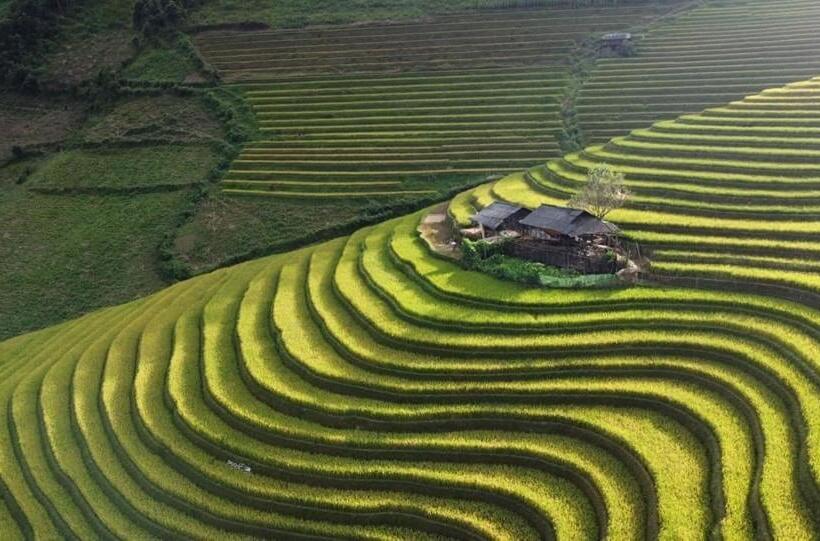 Отель Homestay Hoà Thảo