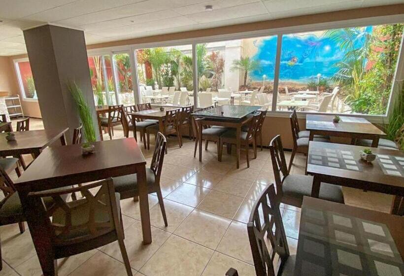 فندق Level Mallorca  Living