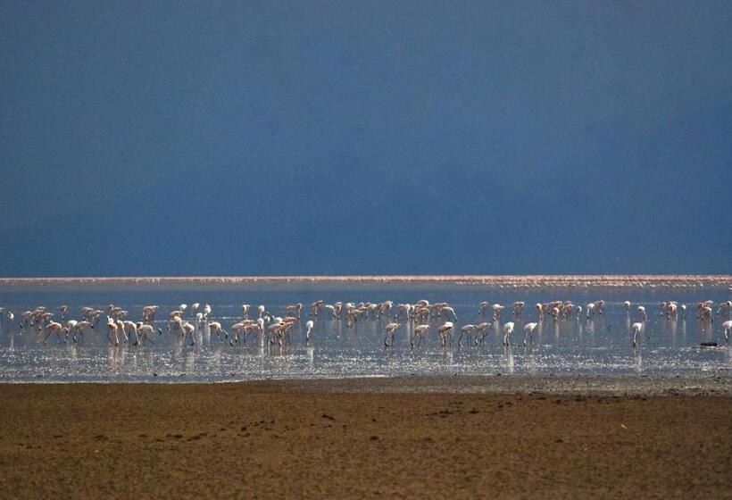 فندق Migunga Tented Camp