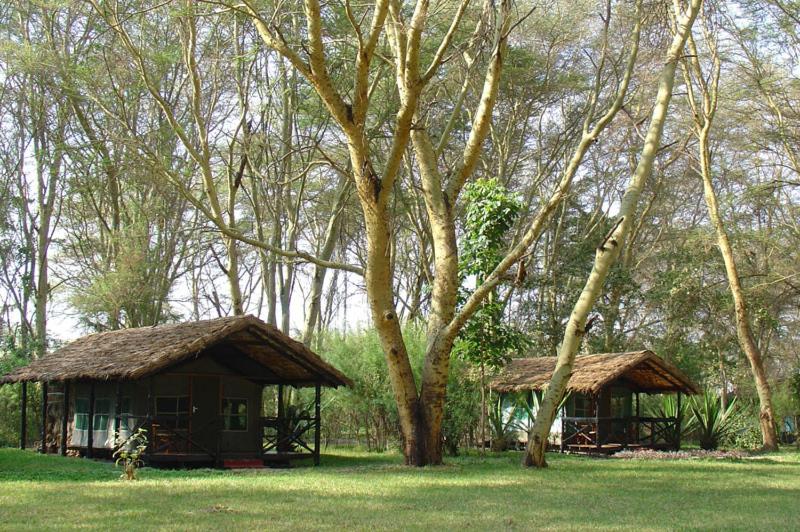 فندق Migunga Tented Camp