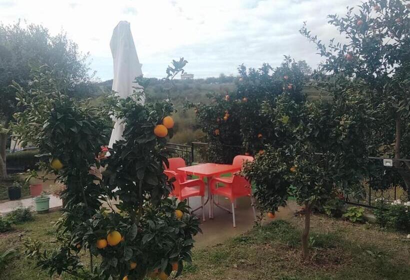 فندق Mille Una Notte Ardenice