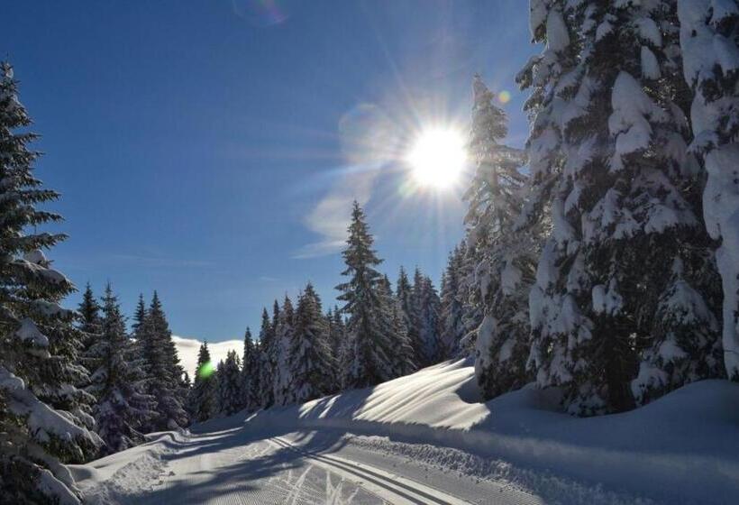 ホテル Panorama Sport