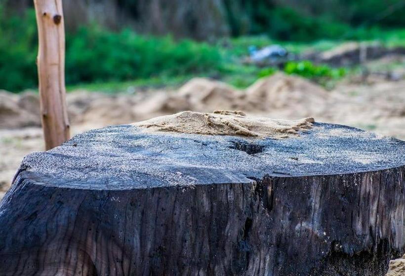 ホテル Pearl Star Beach Resort