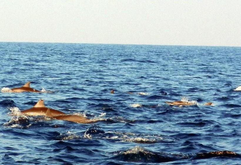 ホテル Pearl Star Beach Resort