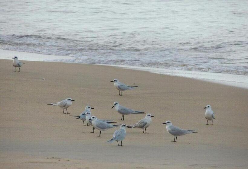 ホテル Pearl Star Beach Resort