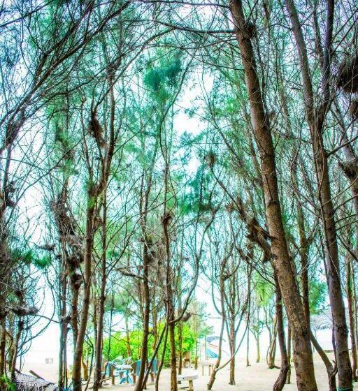 ホテル Pearl Star Beach Resort