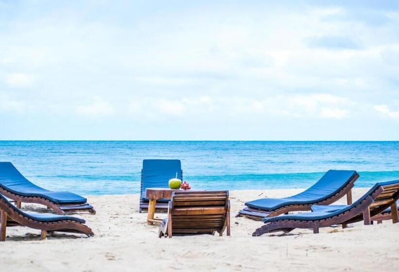 ホテル Pearl Star Beach Resort