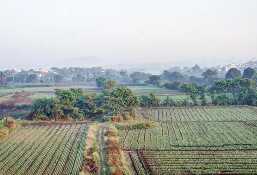 فندق O Royal Inn