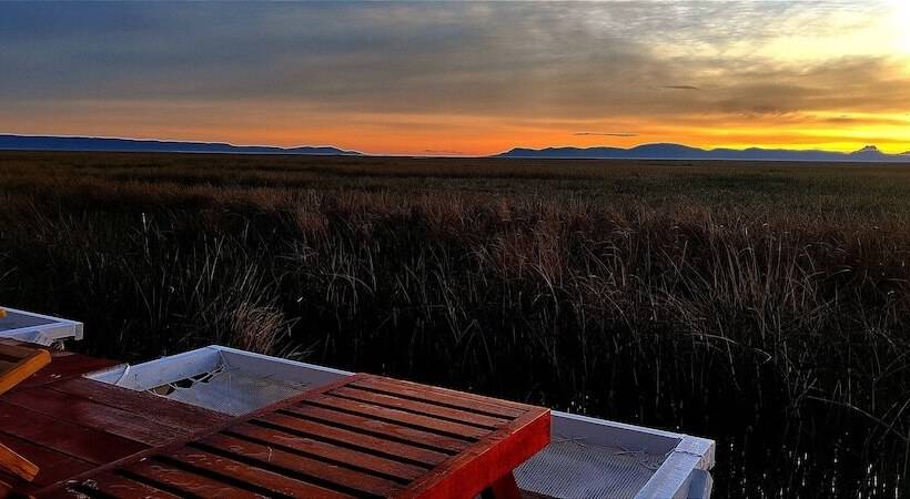 酒店 Titicaca Halso Los Uros