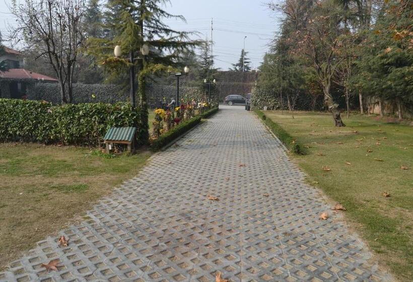 Отель Zippino 3s3