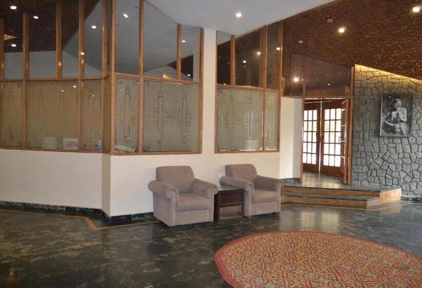 Отель Zippino 3s3