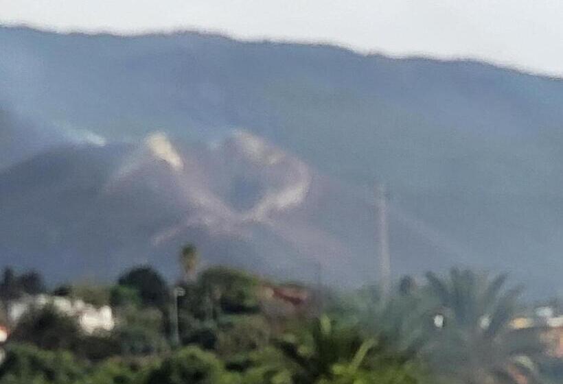 モーテル Motoroom