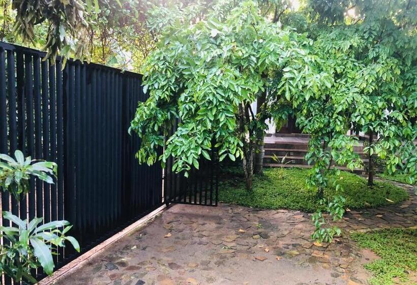 بنسيون Camellia Villa & Tour