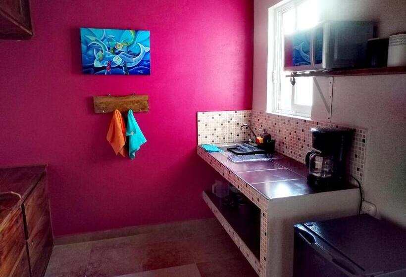 بنسيون Estudio Con Aroma A Oaxaca