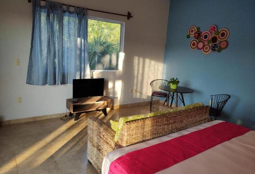 بنسيون Estudio Con Aroma A Oaxaca