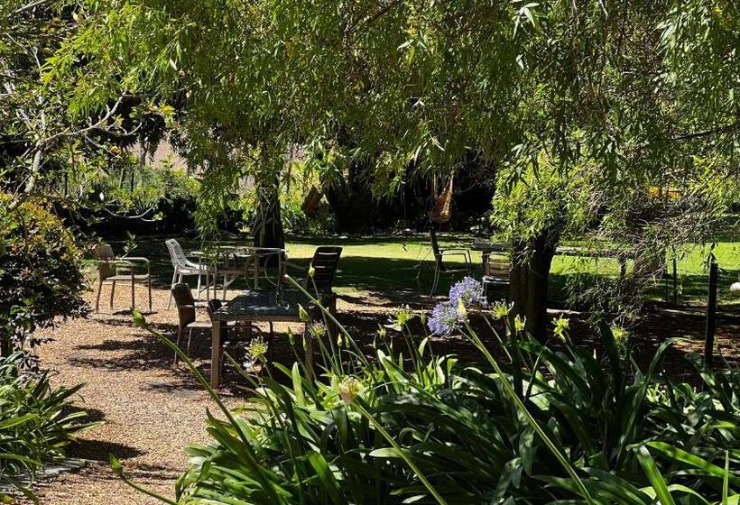 پانسیون In The Vine Country Manor Guesthouse