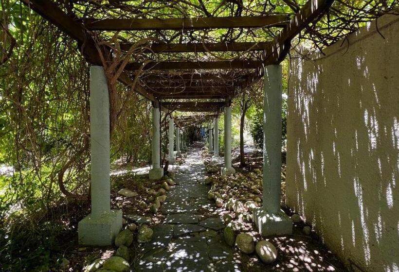 پانسیون In The Vine Country Manor Guesthouse