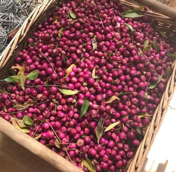 پانسیون In The Vine Country Manor Guesthouse