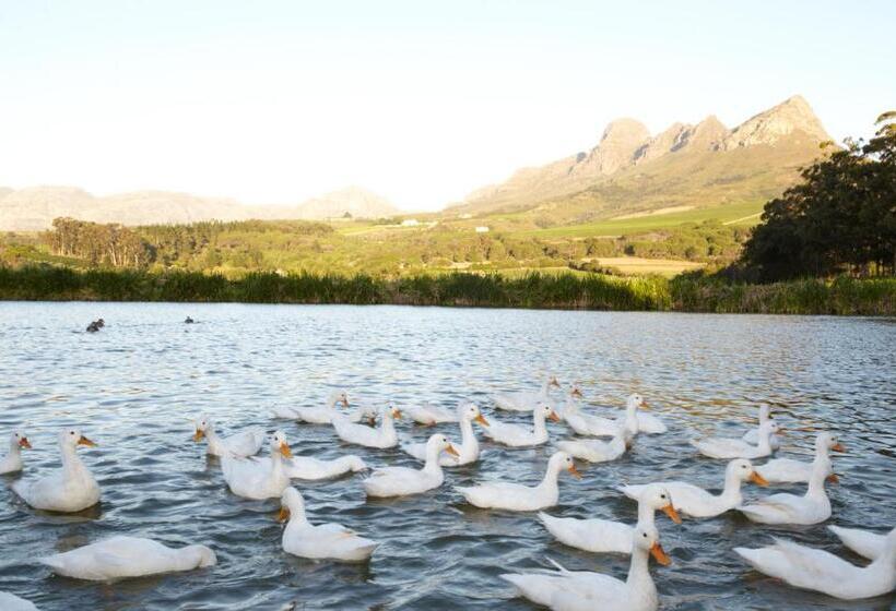 پانسیون In The Vine Country Manor Guesthouse