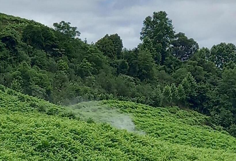 פנסיון Pousada Imcasa 430